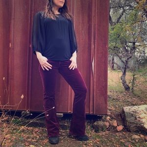 Velvet vintage flares